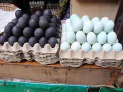 crna jaja, nefarbana jaja