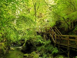 Klisura Lidford, Velika Britanija