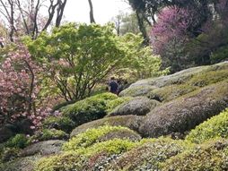 Proleće u parkovima Rima