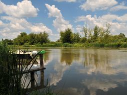 Carska bara - Zrenjanin