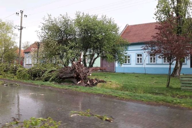 Nevereme u Bačkom Petrovcu