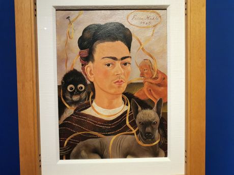 Slike Frida Kalo