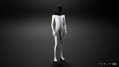 Tesla bot