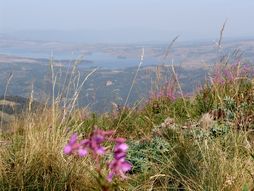 Vardenik planina i vrh Streser