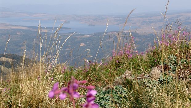 Vardenik planina i vrh Streser