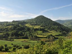 Zvonce - Zvonačka banja