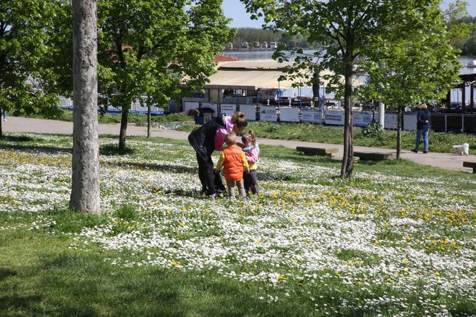 Zemunski Kej, Vaskršnji ponedeljak