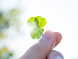 Detelina sa četiri lista