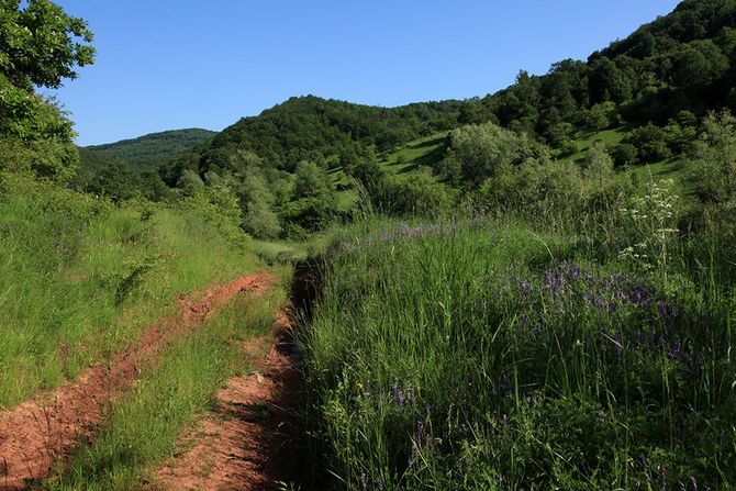 Planina Kalafat  kod Niša