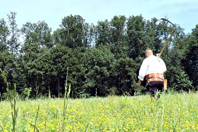 Planina, seljak, kosi travu Planina, seljak, kosi travu