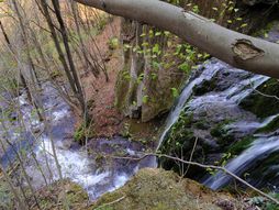 Beli Izvorac Majdanpek