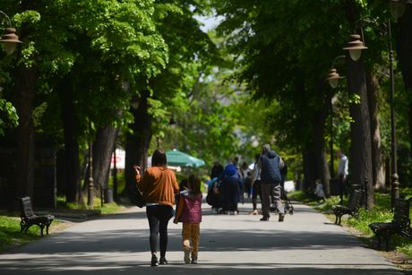 praznik, lepo vreme, suncan dan, vremenska prognoza, šetči park