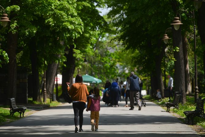 praznik, lepo vreme, suncan dan, vremenska prognoza, šetči park