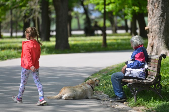 praznik, lepo vreme, suncan dan, vremenska prognoza, šetči park