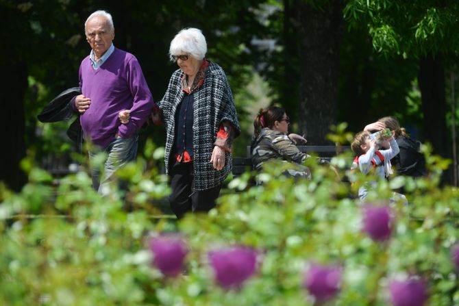 praznik, lepo vreme, suncan dan, vremenska prognoza, šetči park