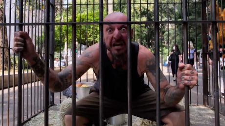 Majmun kavez umetnik parkb brazil