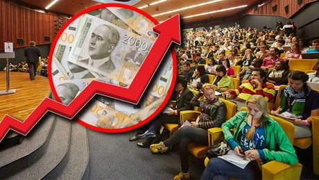 Fakultet studenti studiranje rast cena
