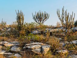 Serido Brazil UNESCO global park