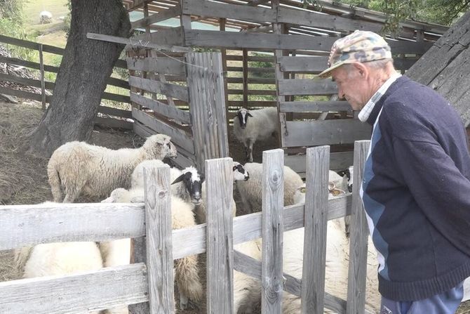 Ivanjica medvedi prilaze kućama meštani strahuju