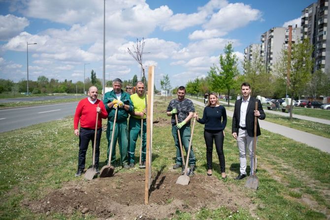 Meridian akcija pošumljavanja