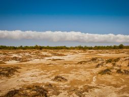 Burketown Kvinslend Australija