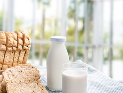 Hleb jogurt hrana