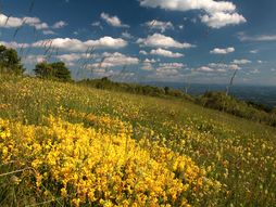 Planina Jelica i Gradina na Jelici