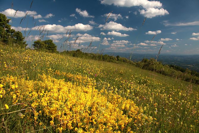 Planina Jelica i Gradina na Jelici