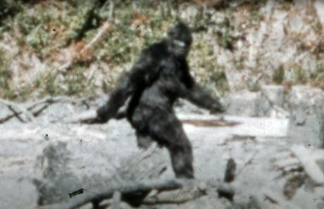 Bigfut Bigfoot Roger Patterson Bob Gimlin