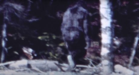 Bigfut Bigfoot Roger Patterson Bob Gimlin