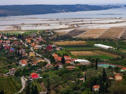 Sečoveljske soline Slovenija Solinsko blato