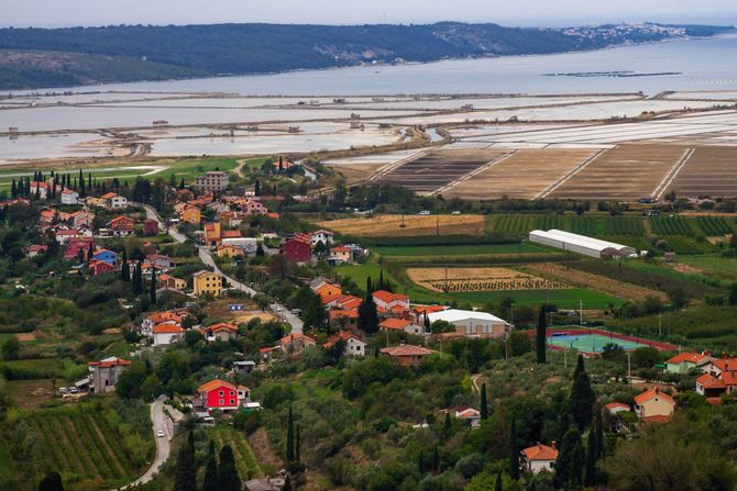 Sečoveljske soline Slovenija Solinsko blato