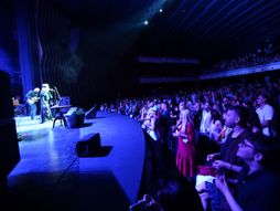 Josipa Lisac, koncert, Dom sindikata