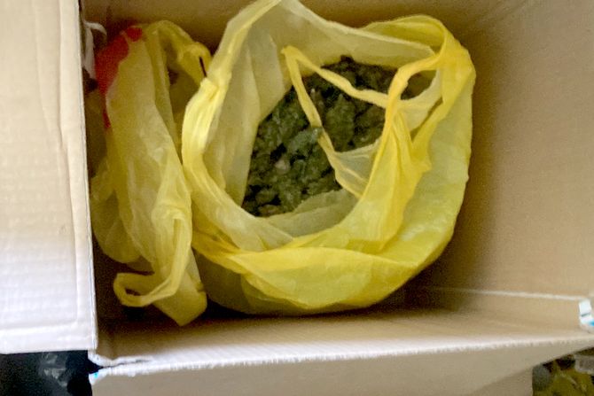 Foto: Mup, marihuana, laboratorija droge