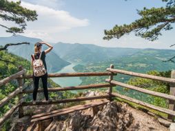 Tara proleće priroda