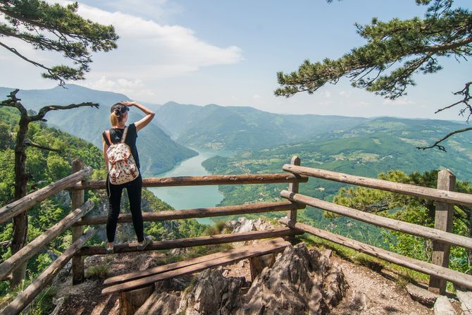Tara proleće priroda Tara proleće priroda