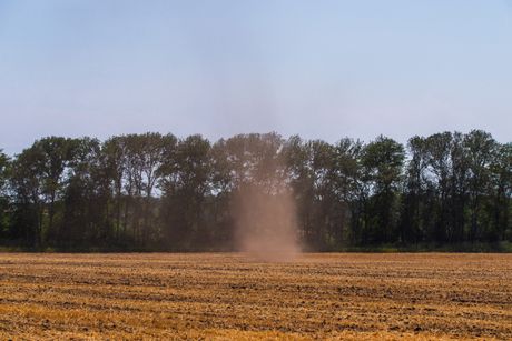 Dust Devil