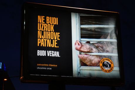 vegan, svinja, bilbord, Novi Sad