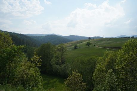 Sljivovica Sljivovica