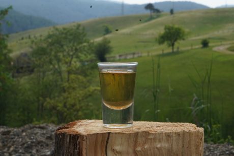 Sljivovica Sljivovica