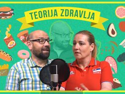 Teorija zdravlja Tanja Banđur