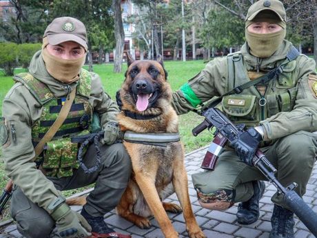 Ukrajina rat vojska pas Baks Bucks