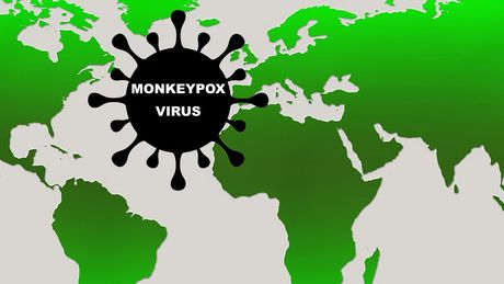 Majmunske boginje, monkey pox virus