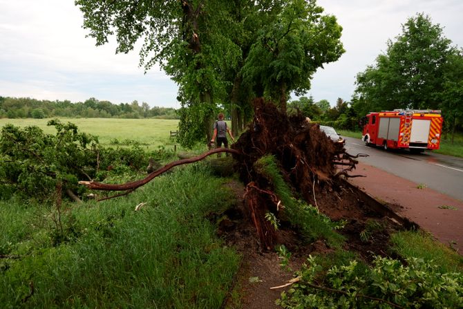 Tornado, Nemačka