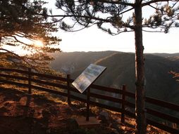 Tara, vidikovac Sokolarica