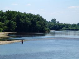 Velika Morava, Velika Plana