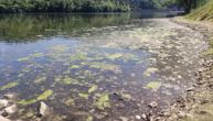 Građani zasukali rukave i čistili jezero Međuvršje: Za nekoliko sati izvučena velika količina trave