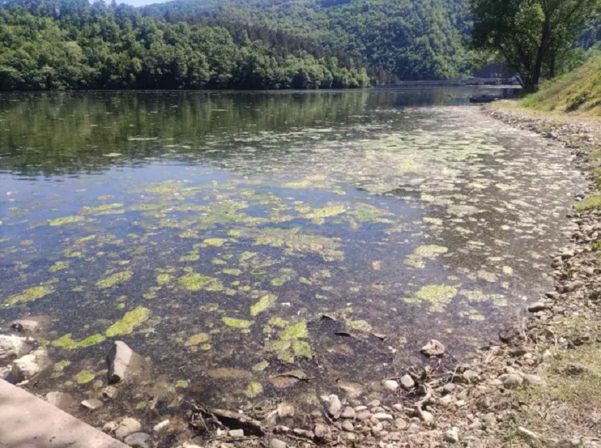 Građani zasukali rukave i čistili jezero Međuvršje: Za nekoliko sati izvučena velika količina trave