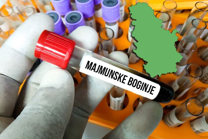 Majmunske boginje, Srbija Majmunske boginje, Srbija