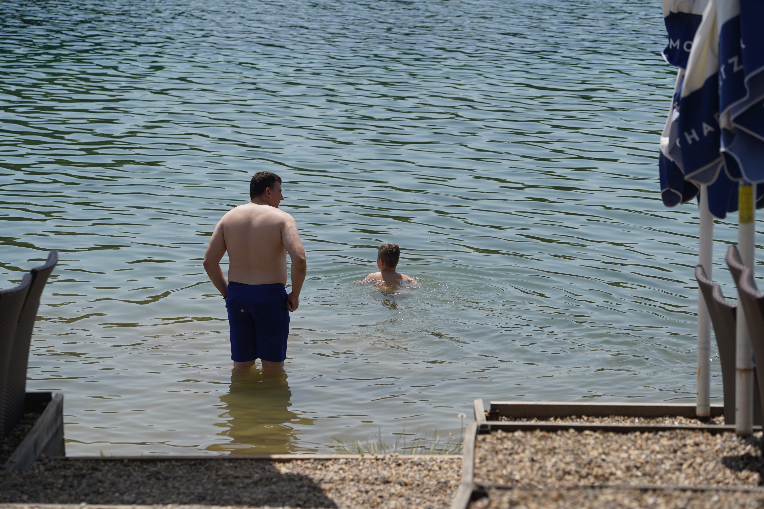 "Jel isplivala?" Kupači na Adi nisu ni primetili šta roni pored njih, zverka neprimetno prišla, a onda nestala